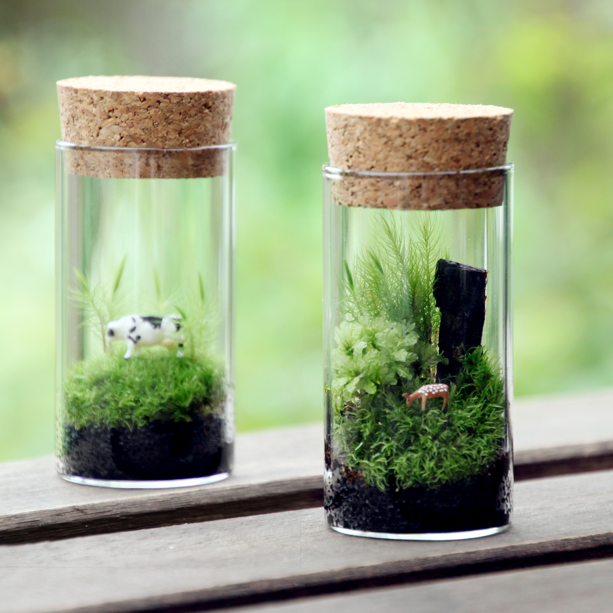 苔テラリウム２個セット のどかな牧場と苔の森